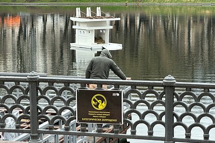 Лебедь выгнал полуголого москвича из пруда