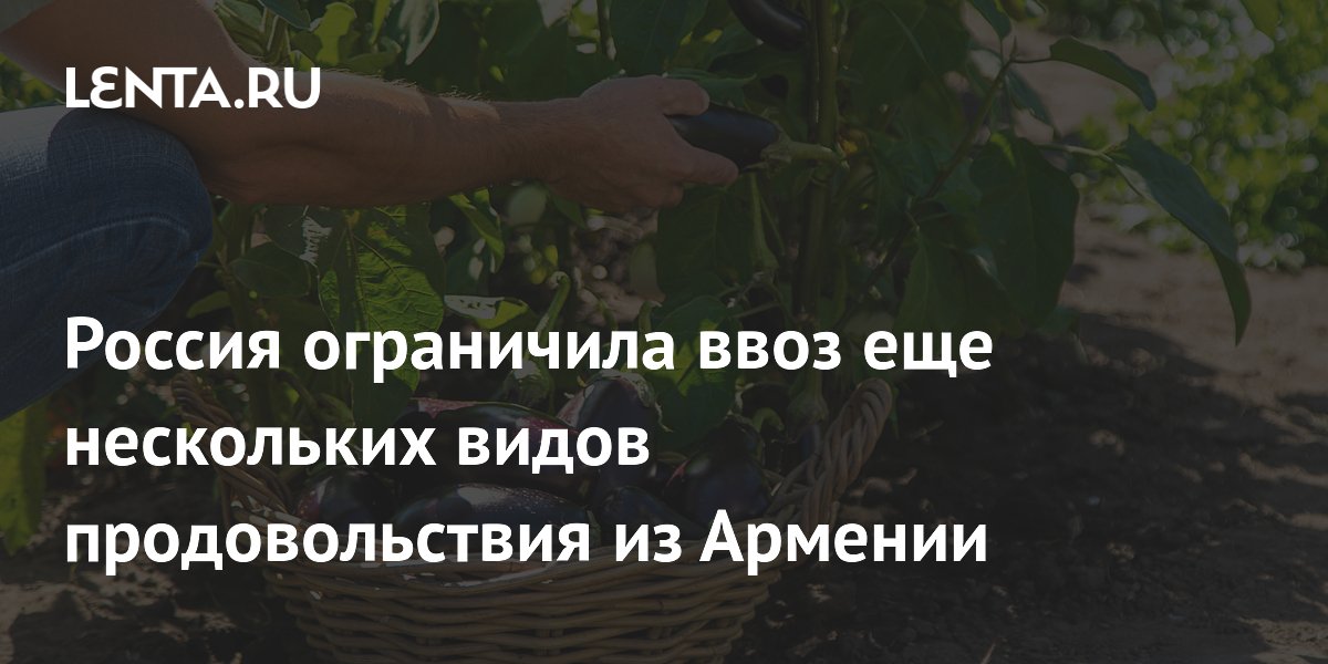 Россия ограничила ввоз еще нескольких видов продовольствия из Армении