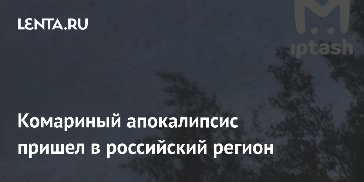Комариный апокалипсис пришел в российский регион