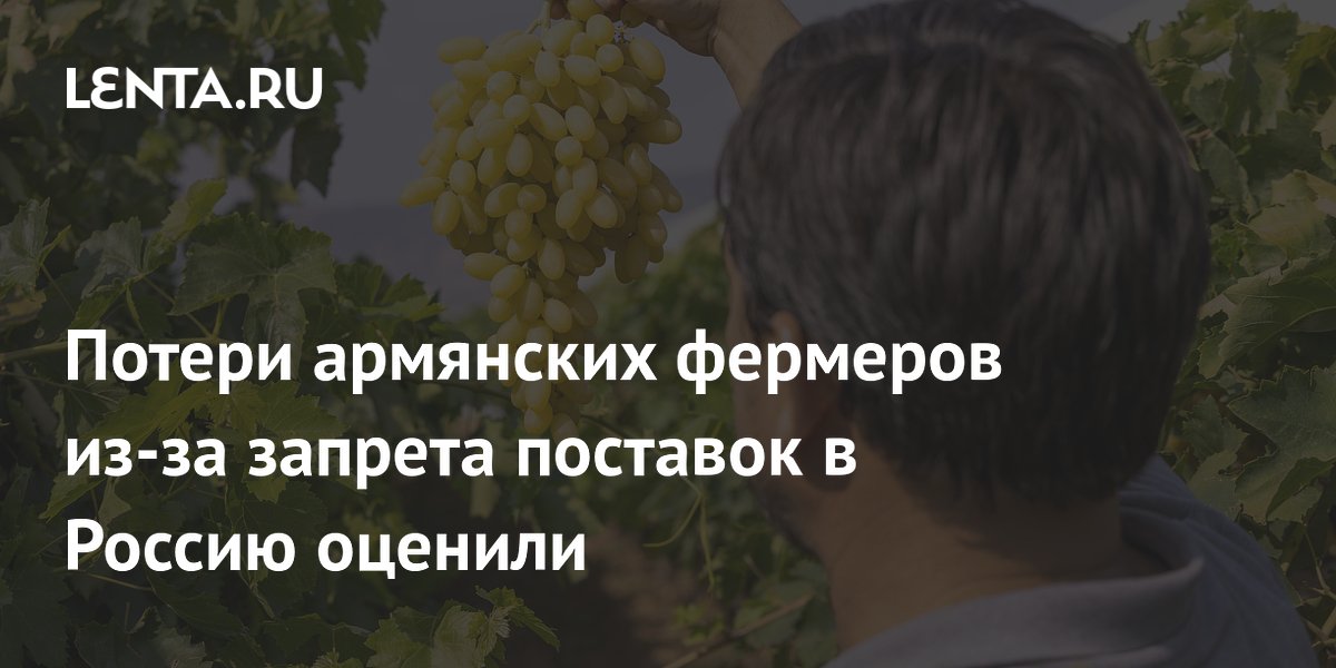 Потери армянских фермеров из-за запрета поставок в Россию оценили