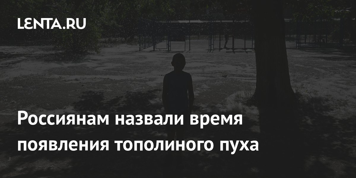 Россиянам назвали время появления тополиного пуха