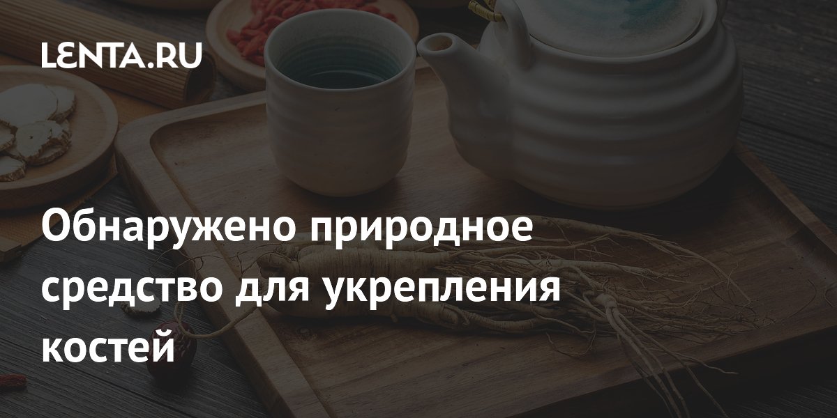 Обнаружено природное средство для укрепления костей