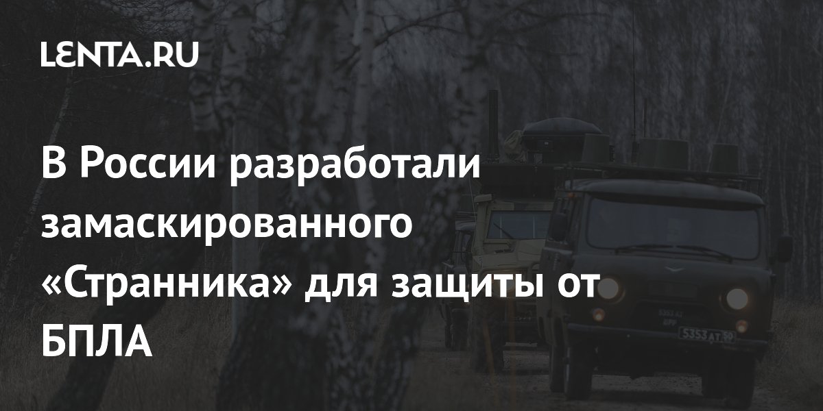 В России разработали замаскированного «Странника» для защиты от БПЛА