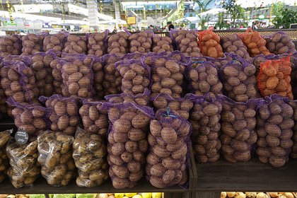 Зависимость России от яблок и картофеля из Армении оценили