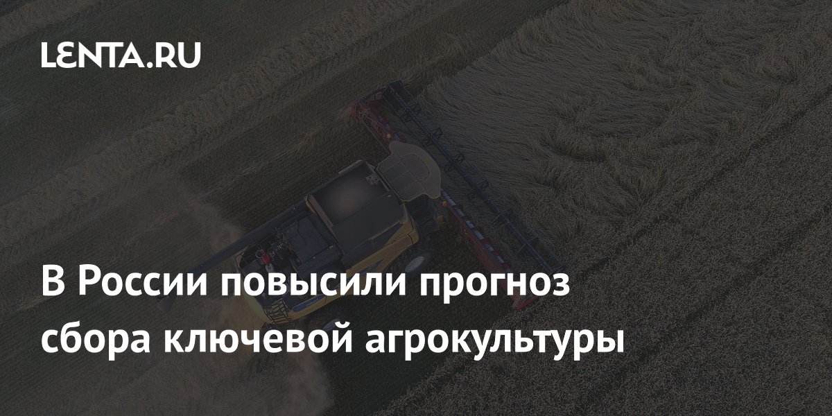 В России повысили прогноз сбора ключевой агрокультуры