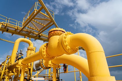 В Германии назвали абсурдным отказ от поставок российского газа