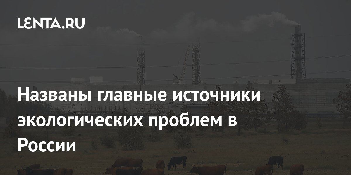 Названы главные источники экологических проблем в России