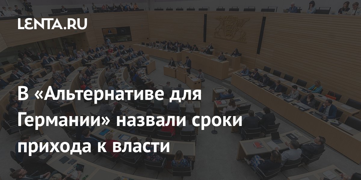 В «Альтернативе для Германии» назвали сроки прихода к власти