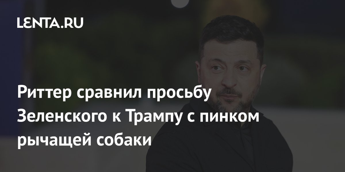 Риттер сравнил просьбу Зеленского к Трампу с пинком рычащей собаки