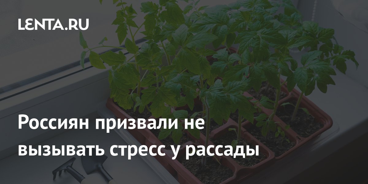 Россиян призвали не вызывать стресс у рассады