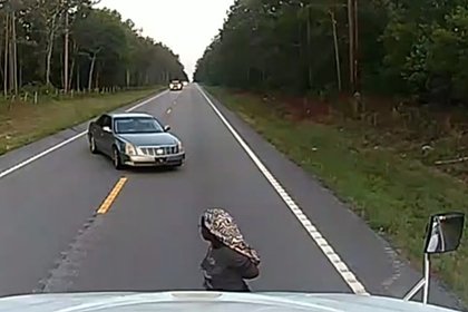 Водитель грузовика помог женщине сбежать от похитителя
