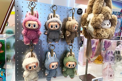 Производитель популярной игрушки подал заявку на регистрацию бренда в России