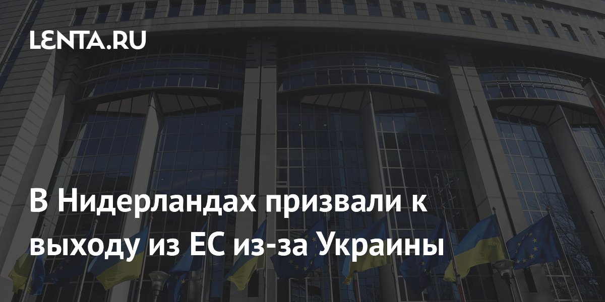 В Нидерландах призвали к выходу из ЕС из-за Украины