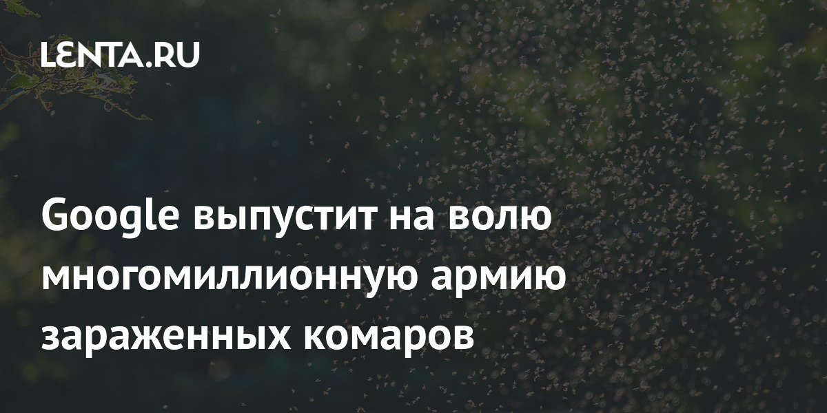 Google выпустит на волю многомиллионную армию зараженных комаров