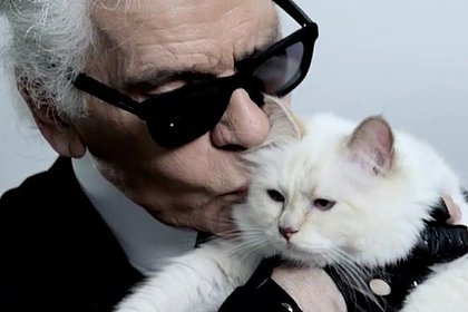Любимая кошка Карла Лагерфельда не получила обещанные миллионы из наследства
