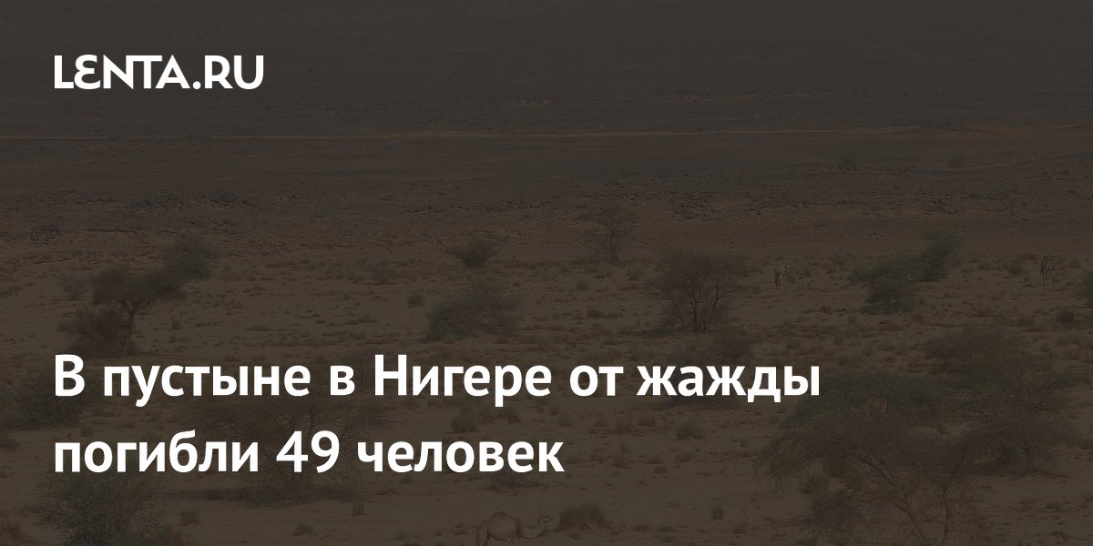В пустыне в Нигере от жажды погибли 49 человек