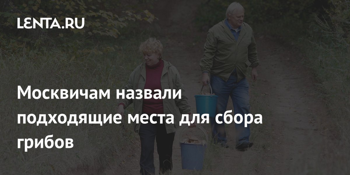 Москвичам назвали подходящие места для сбора грибов
