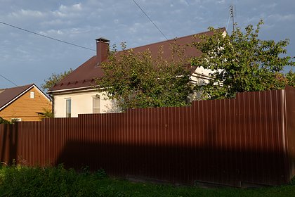 Дачников призвали полить деревья мочевиной