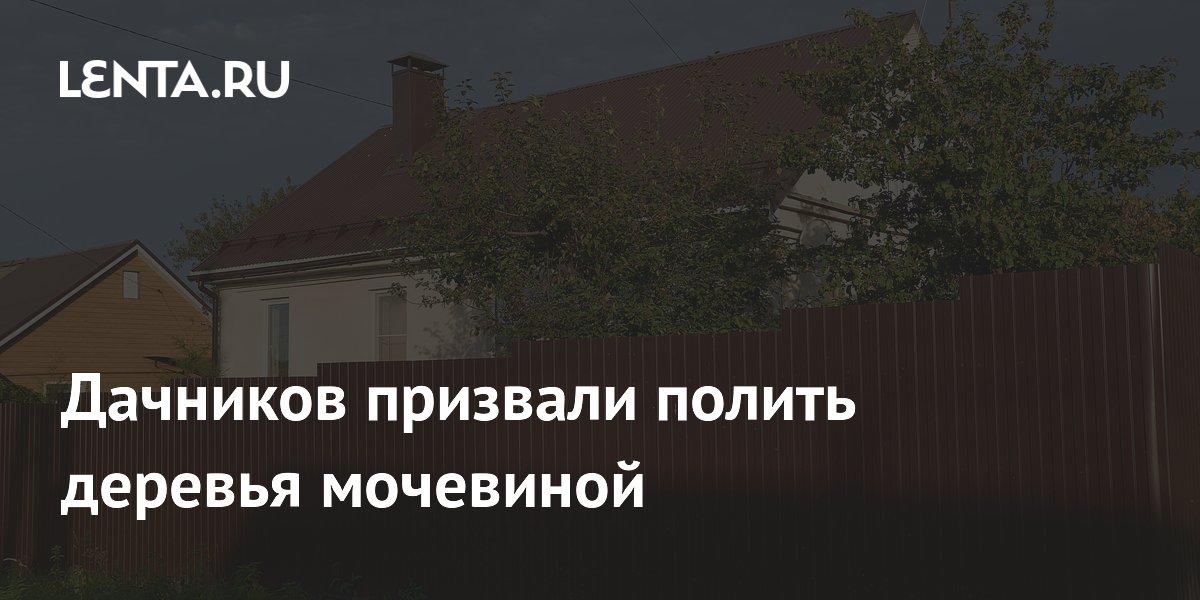 Дачников призвали полить деревья мочевиной