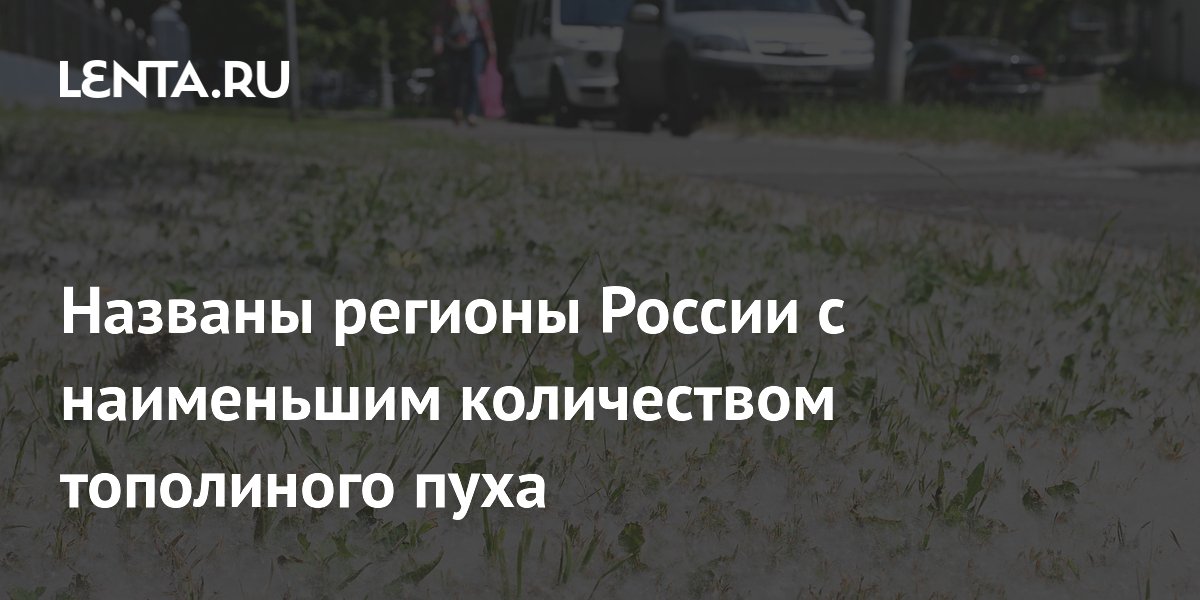 Названы регионы России с наименьшим количеством тополиного пуха