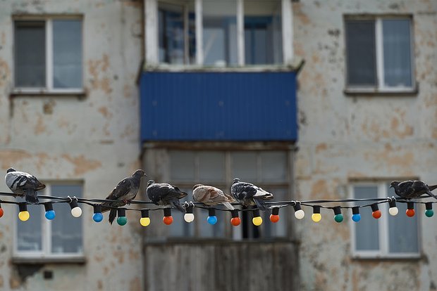 Вводная картинка