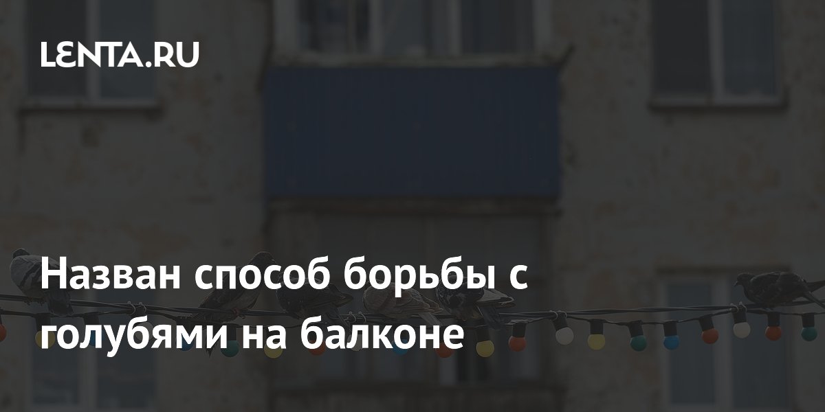 Назван способ борьбы с голубями на балконе