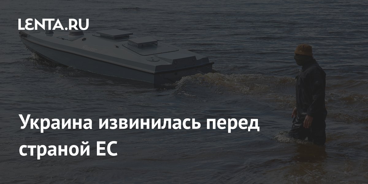 Украина извинилась перед страной ЕС