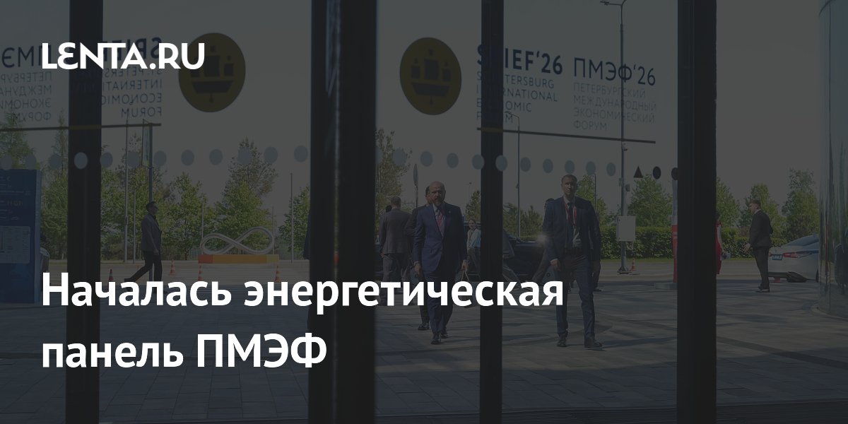 Началась энергетическая панель ПМЭФ
