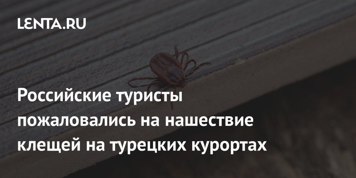 Российские туристы пожаловались на нашествие клещей в турецких курортах