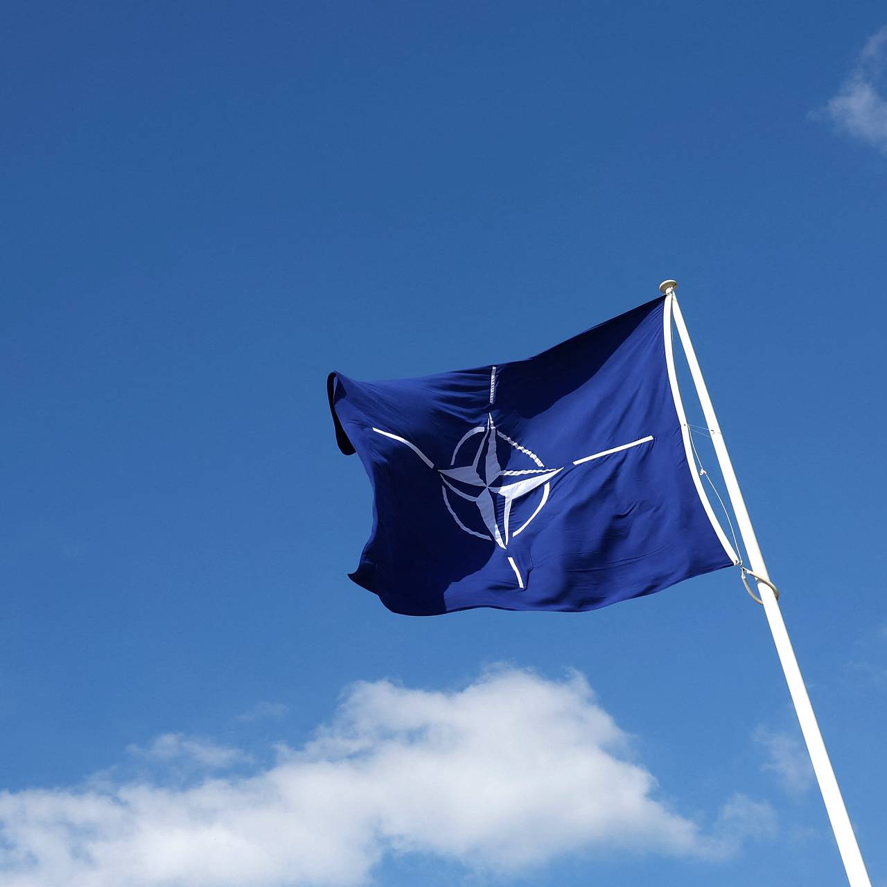 В Европе возмутились планами НАТО на Украине