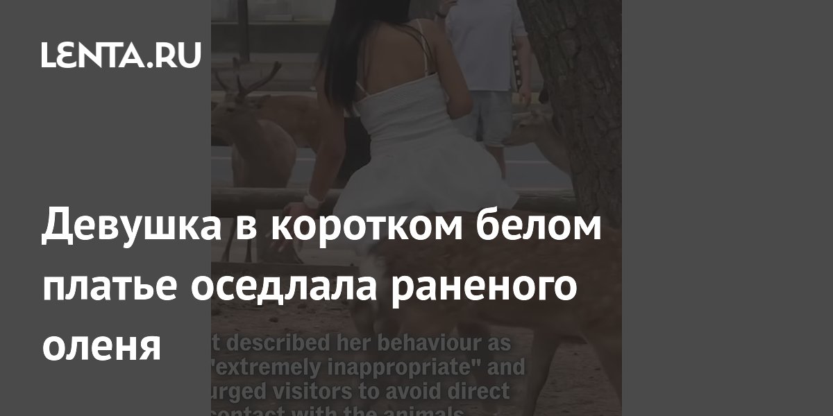 Девушка в коротком белом платье оседлала раненого оленя