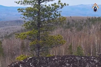 Ищущие в тайге пропавшую семью Усольцевых дроны попали на ви