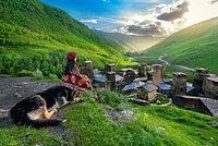 Правила въезда в Грузию для россиян в 2026 году: обязательные документы, нужна ли виза