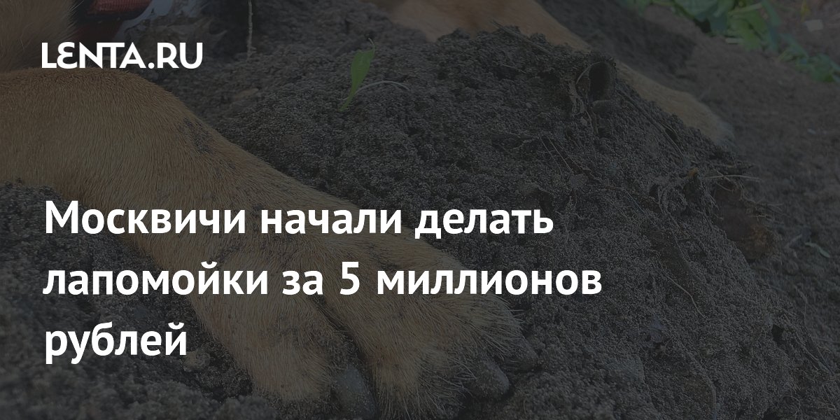 Москвичи начали делать лапомойки за 5 миллионов рублей