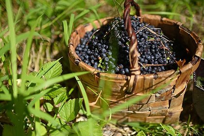 Перечислены особенно полезные для сердца продукты
