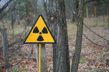Применение ядерного оружия в конфликте с Европой назвали неи