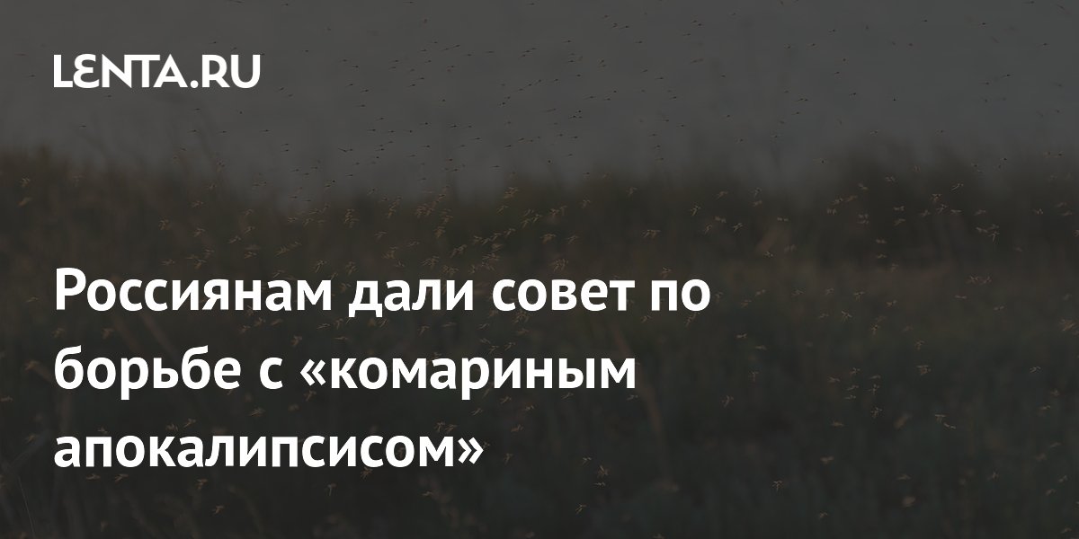 Россиянам дали совет по борьбе с «комариным апокалипсисом»