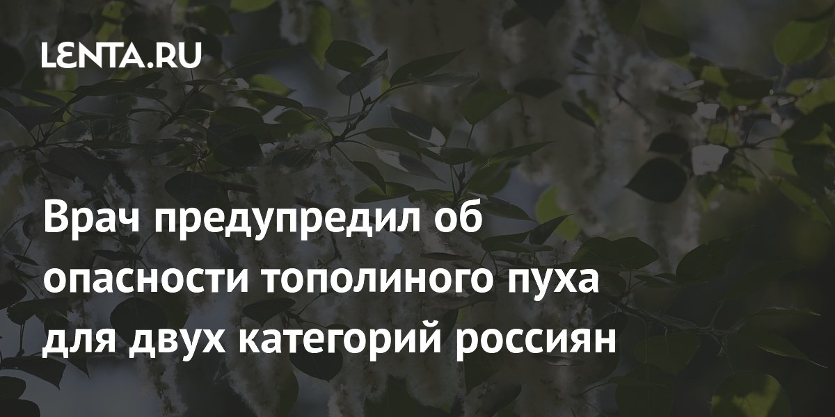 Врач предупредил об опасности тополиного пуха для двух категорий россиян