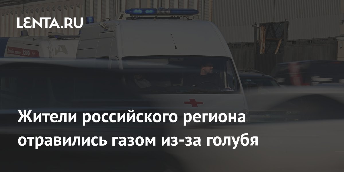 Жители российского региона отравились газом из-за голубя