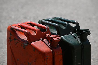 В правительстве потребовали выработать шаги для снабжения ст