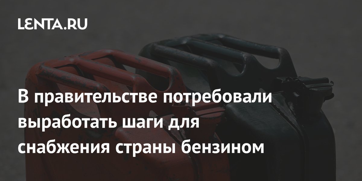 В правительстве потребовали выработать шаги для снабжения страны бензином