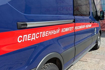 Решивший изнасиловать россиянку в автобусе мужчина пойдет по