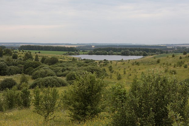 Вводная картинка