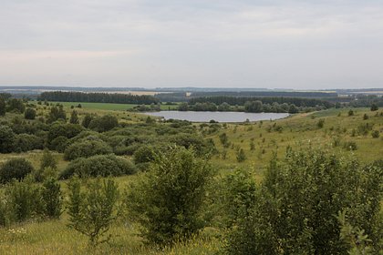 Реку в одном из пушкинских мест залило фекалиями