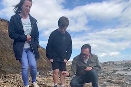 11-летний мальчик нашел на пляже зуб древнего слона