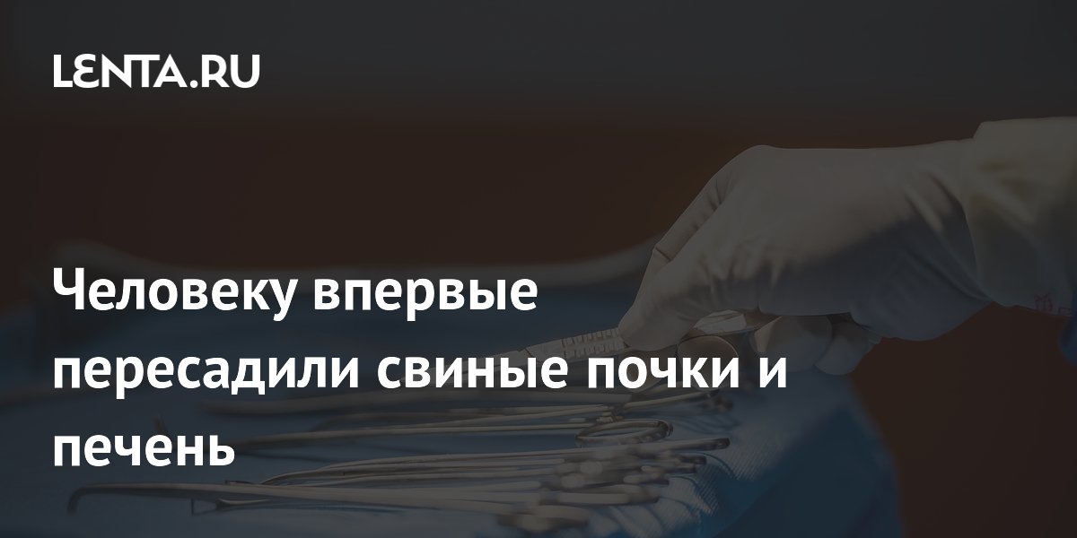 Человеку впервые пересадили свиные почки и печень
