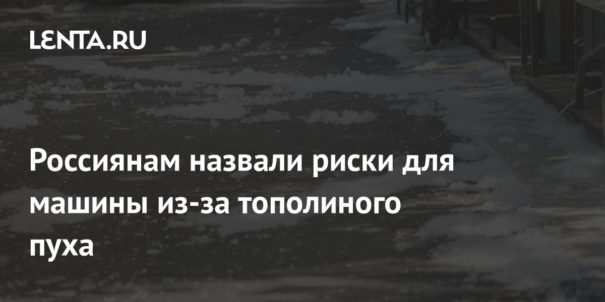 Россиянам назвали риски для машины из-за тополиного пуха