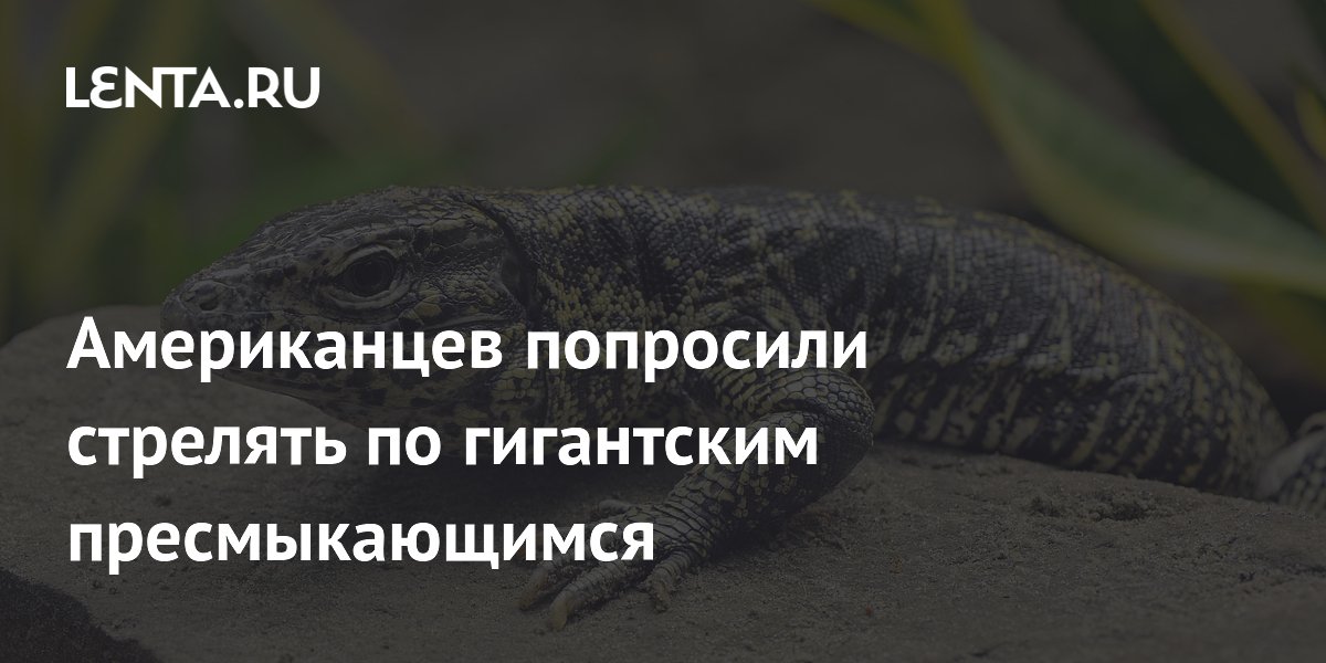 Американцев попросили стрелять по гигантским пресмыкающимся