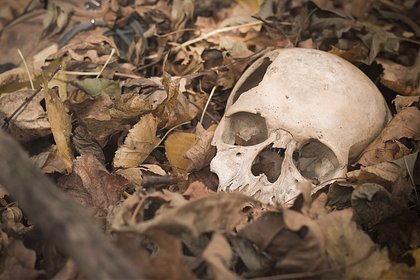Российские ученые нашли на 1800-летнем черепе следы удаления