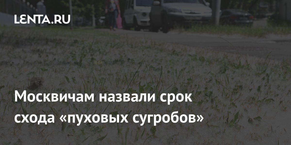 Москвичам назвали срок схода «пуховых сугробов»